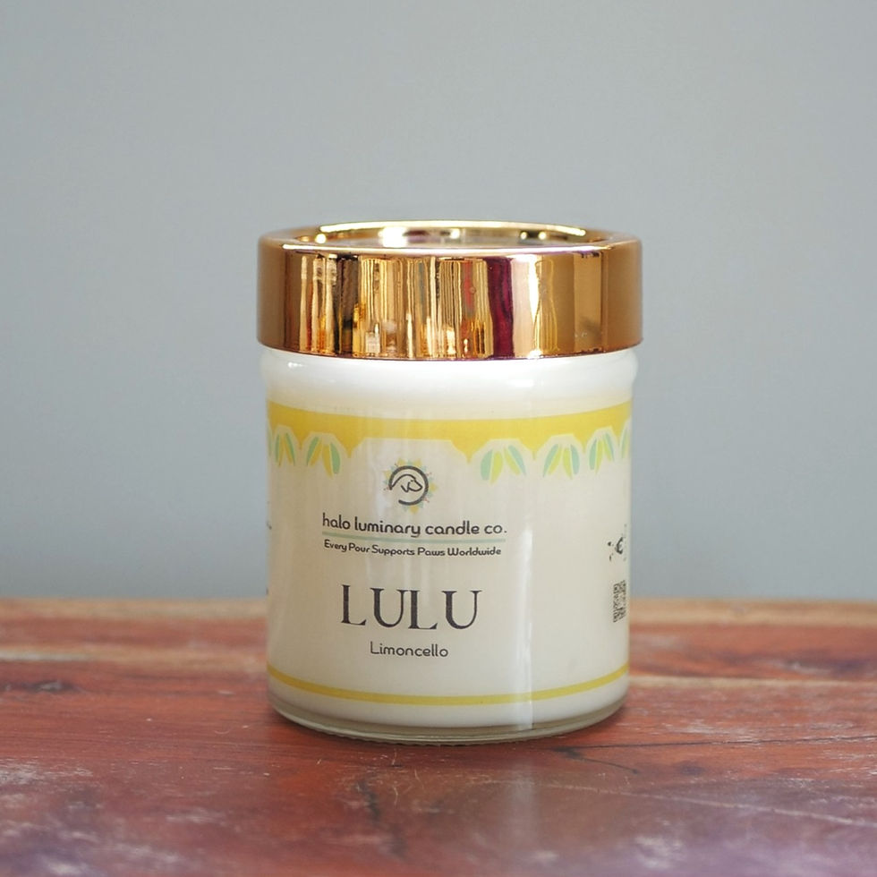 Lulu: Limoncello