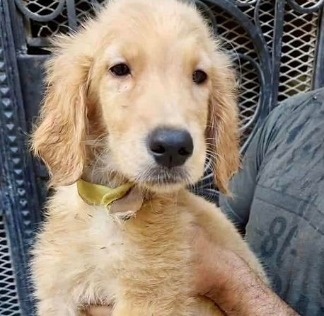 Screenshot 2024-09-16 at 10.30_edited.jp