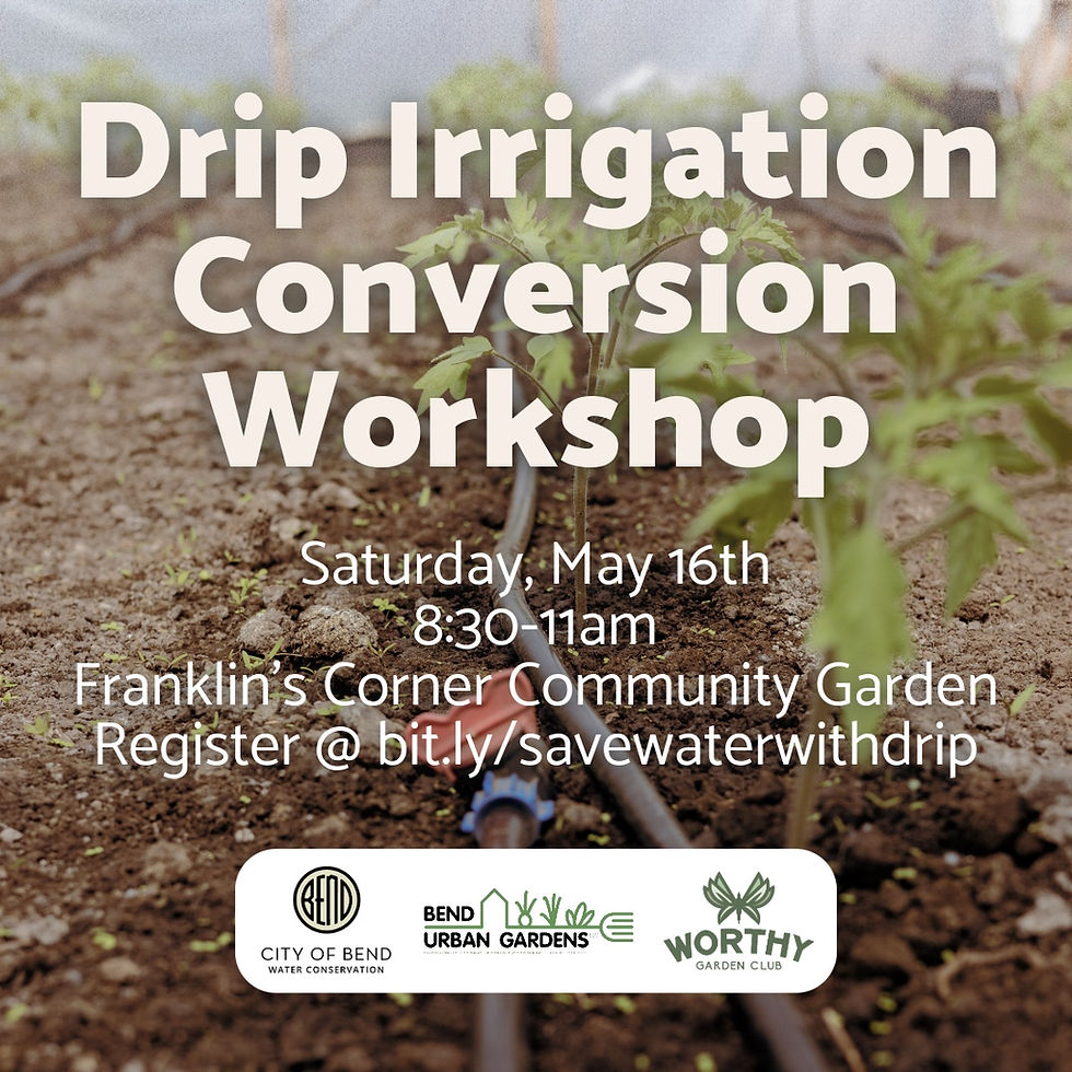 Drip Irrigation Conversion Workshop