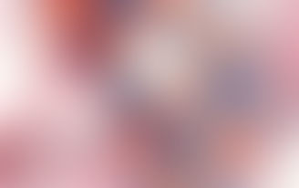 NUESTRAS PRECAUCIONES