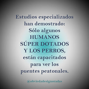 frases.jpg