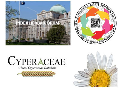 Sharing taxonomic data with biodiversity and nomenclature databases
