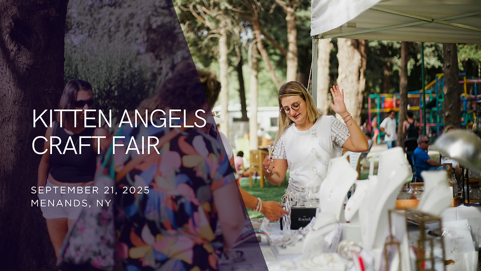 Kitten Angels Craft Fair at Capital District Regional Market