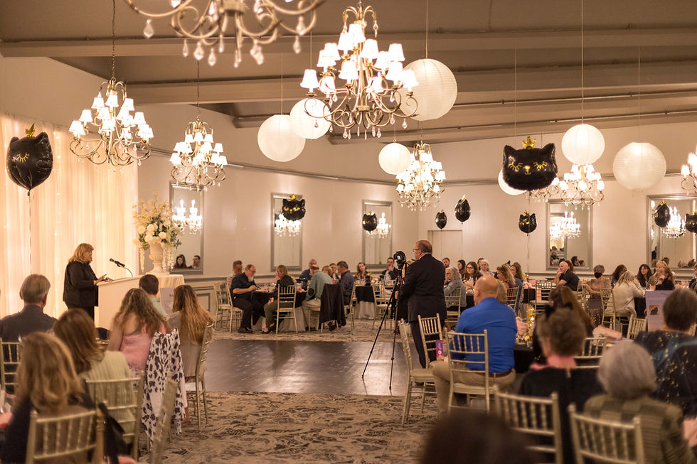 One Night in Hollywood: The Annual Black Cat Gala