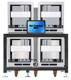 AMGEL High Throughput Screening