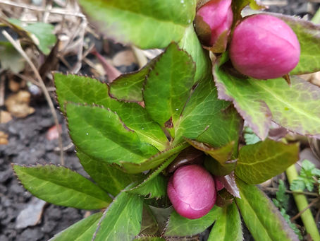 Working this afternoon