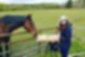 The artist painting outdoors with a horse