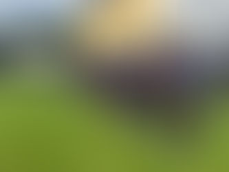 61. Oberinntaler Regimentsfest:     Ein denkwürdiger Tag für die Schützenkompanie Zirl