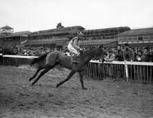 Prince Regent on his way to post; until the 1970s, the start of the Gold Cup was behind the current grandstands