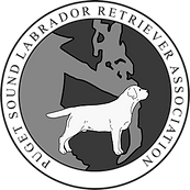 New-PSLRA-Logo-August-2019-300x300-1_edi