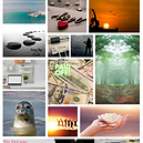 Screen Shot 2023-12-15 at 12.54.34 PM.png