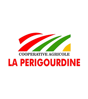 images (3).png