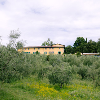 the villa