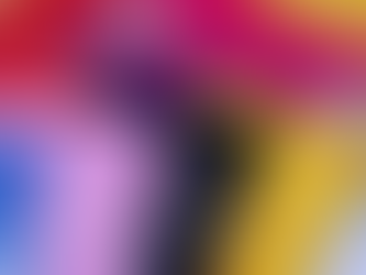 No Card, No Sale. What a Credit Card Cap Would Mean for Small Firms