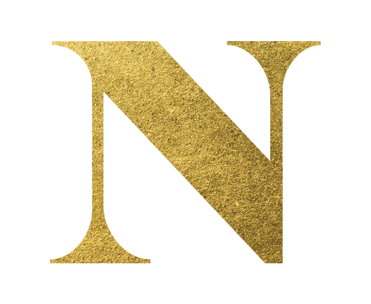 N-LOGO.gif