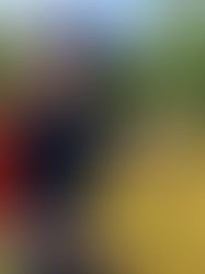 Forventningene definerer suksessen
