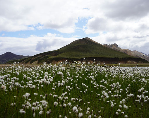Landmannalaugar Nasjonalpark - Island