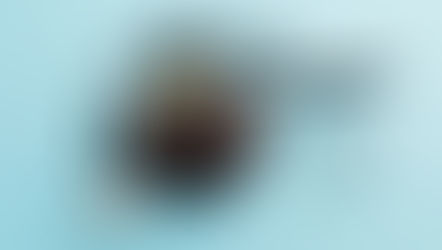 Harnessing Multi-Line, Cross-Carrier, and Third-Party Data for Advanced FWA Mitigation