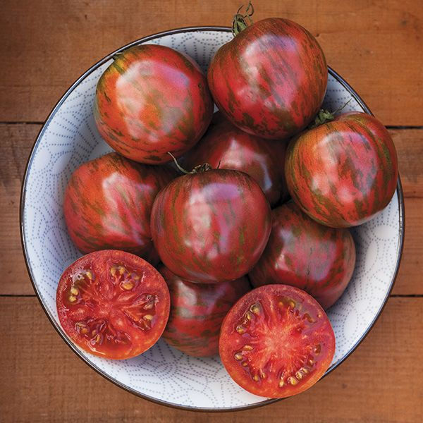 tomato pink boar
