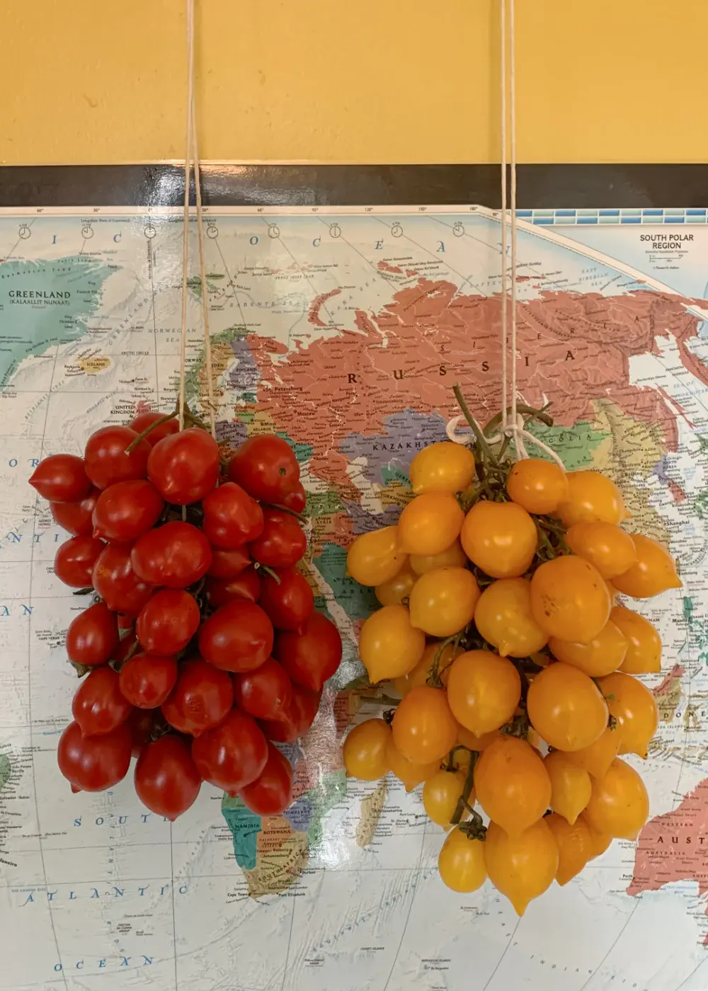Tomato Piennolo Rosso