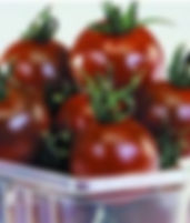 tomato brown berry