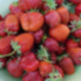 strawberry eversweet