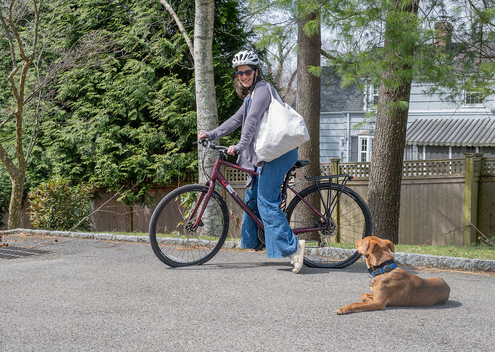 Katy on her bike with reusable shopping bags