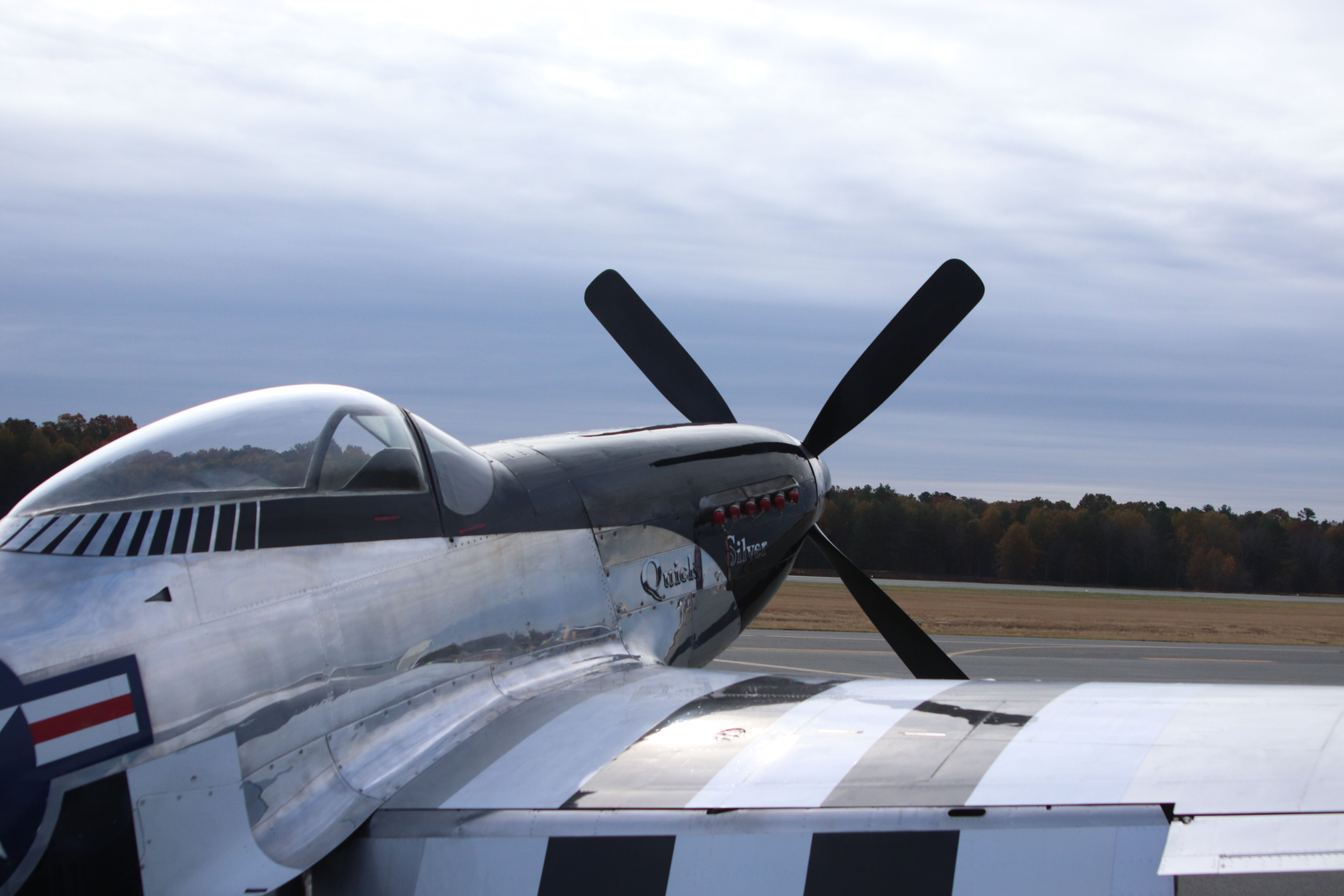 P-51 Mustang Poster