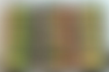 PROTEIN: ALL AND EVERYTHING YOU NEED TO KNOW