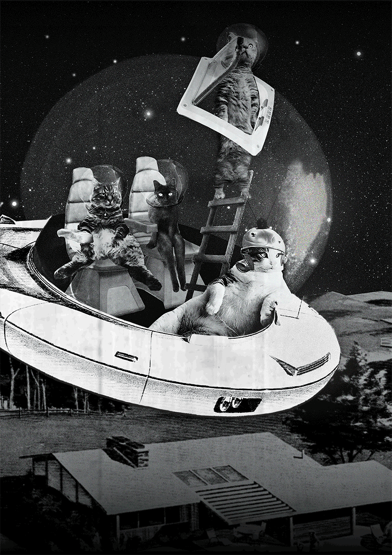 cat-ufo.gif digital collage