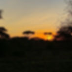 Amanecer en el campamento del Parque Nacional del Serengeti