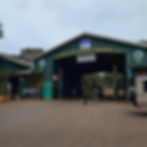 Entrada al Cráter del Ngorongoro en Tanzania