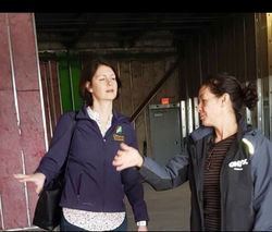 Tropical Sno by ONYX