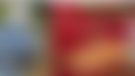 HANDMADE : THE UGLY DUCKLING