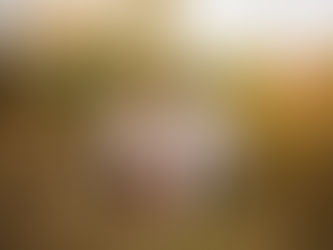 A family stands inside Huron Natural Area, surrounded by fall colours.