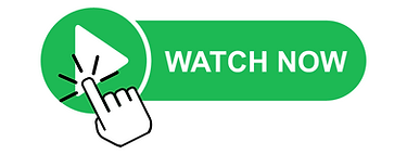 Lyriplex Spotify Playlist Placements