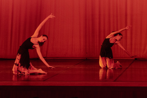 Falling Photos | Movement & Miller