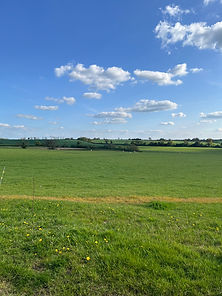IMG_3311.jpeg