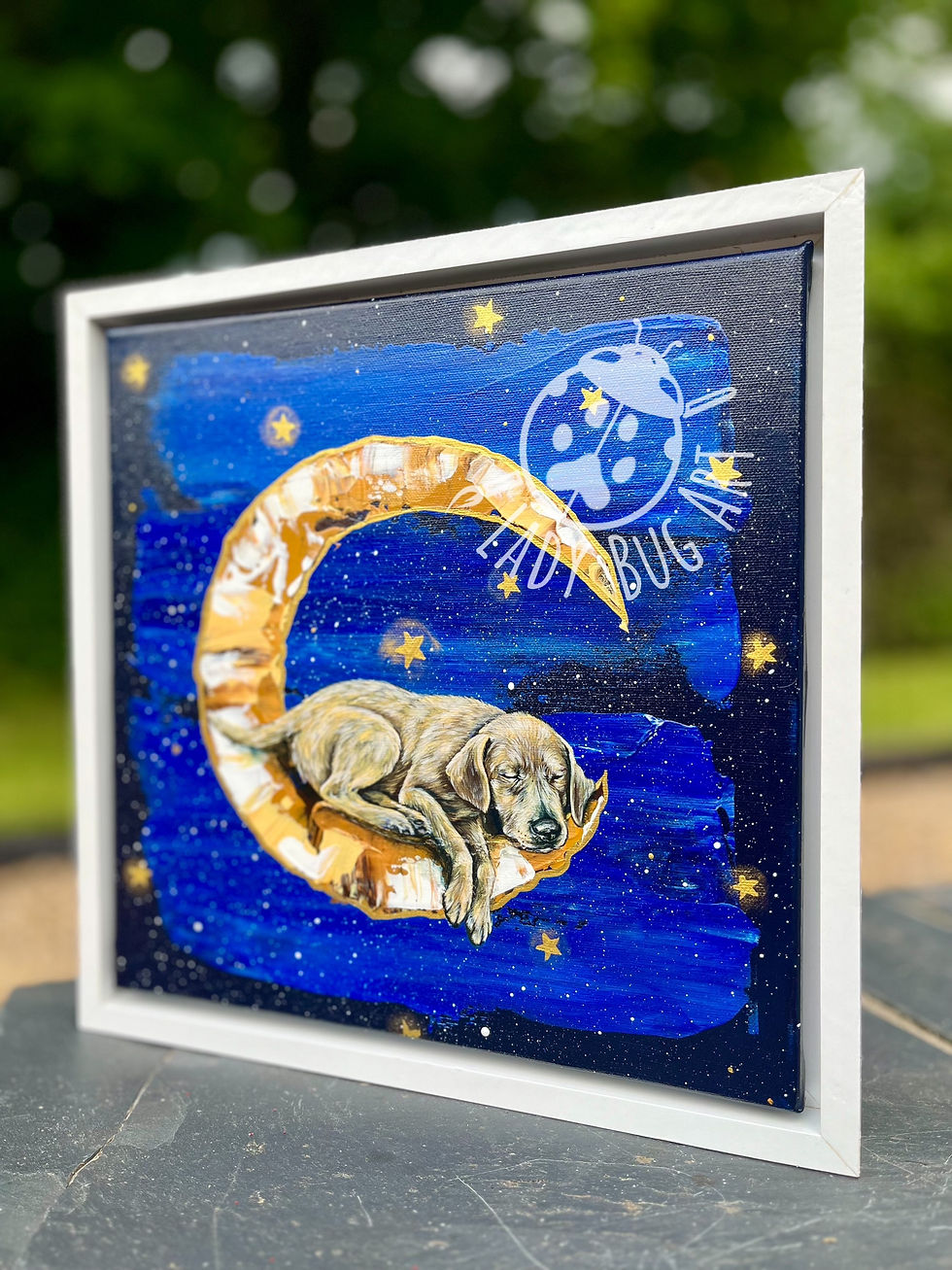 Thumbnail: Stargazing - Labrador 