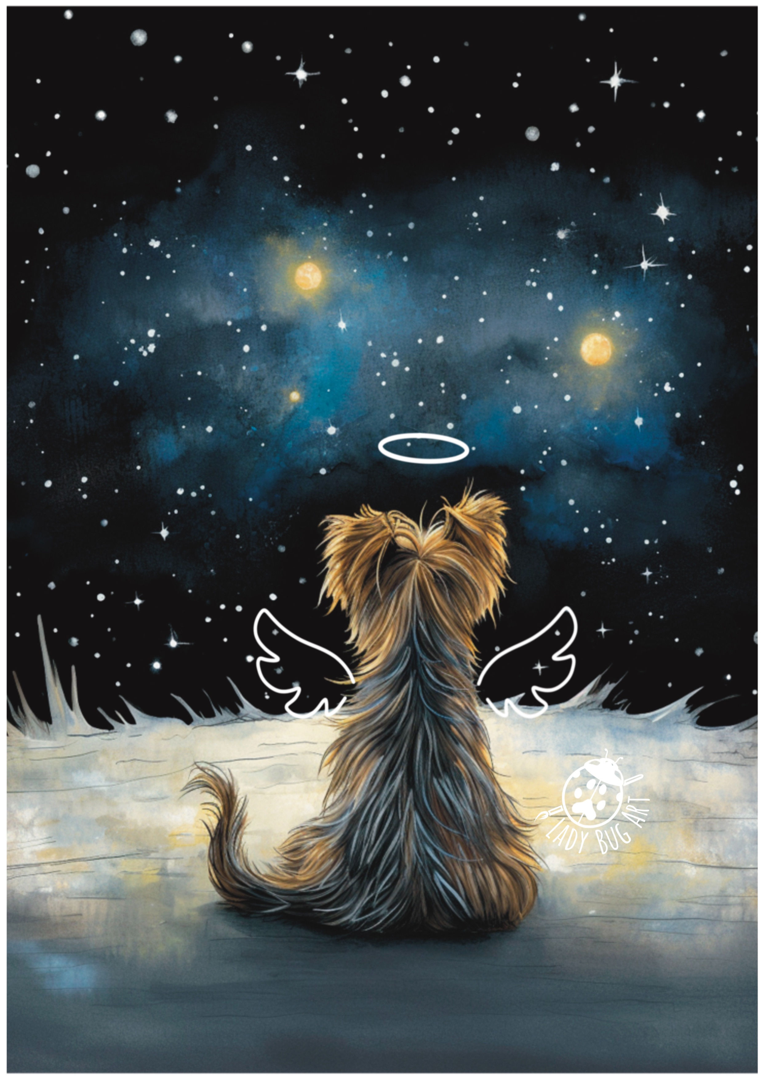 Angel Yorkie 
