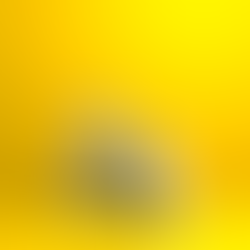 KS focus: "Mindgame!"