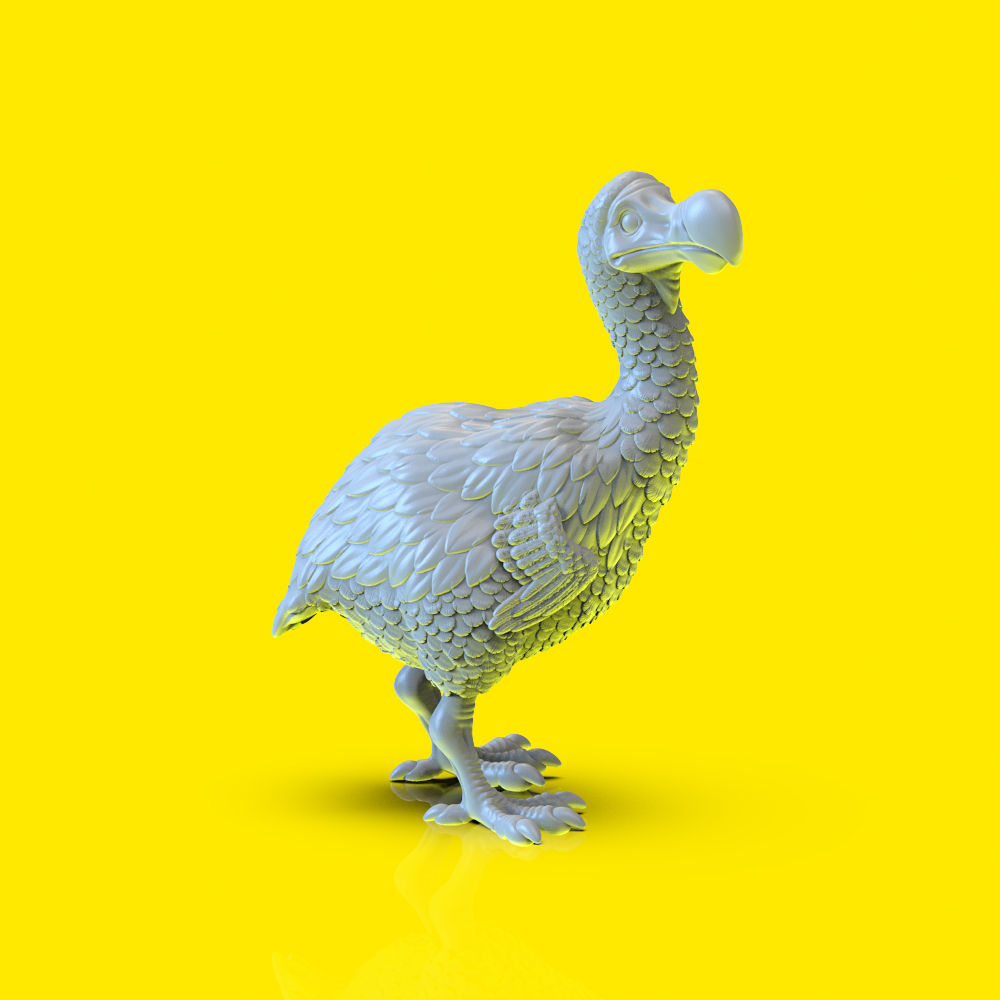 The Dodo