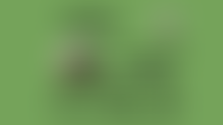 Peoples of Inneath game