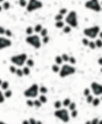 Paw_Prints_edited.jpg