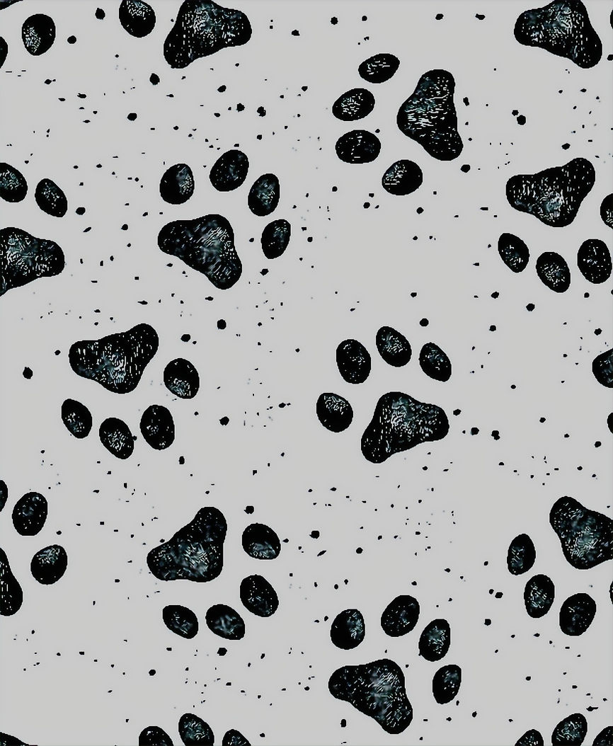 Paw_Prints_edited_edited.jpg