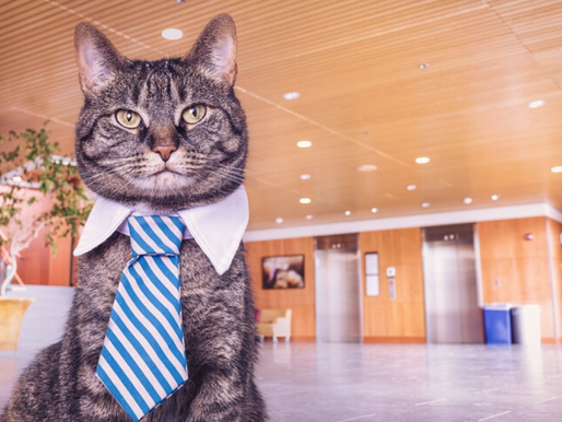 Time to ditch those boring stock photos