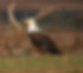 034A3766_edited.jpg