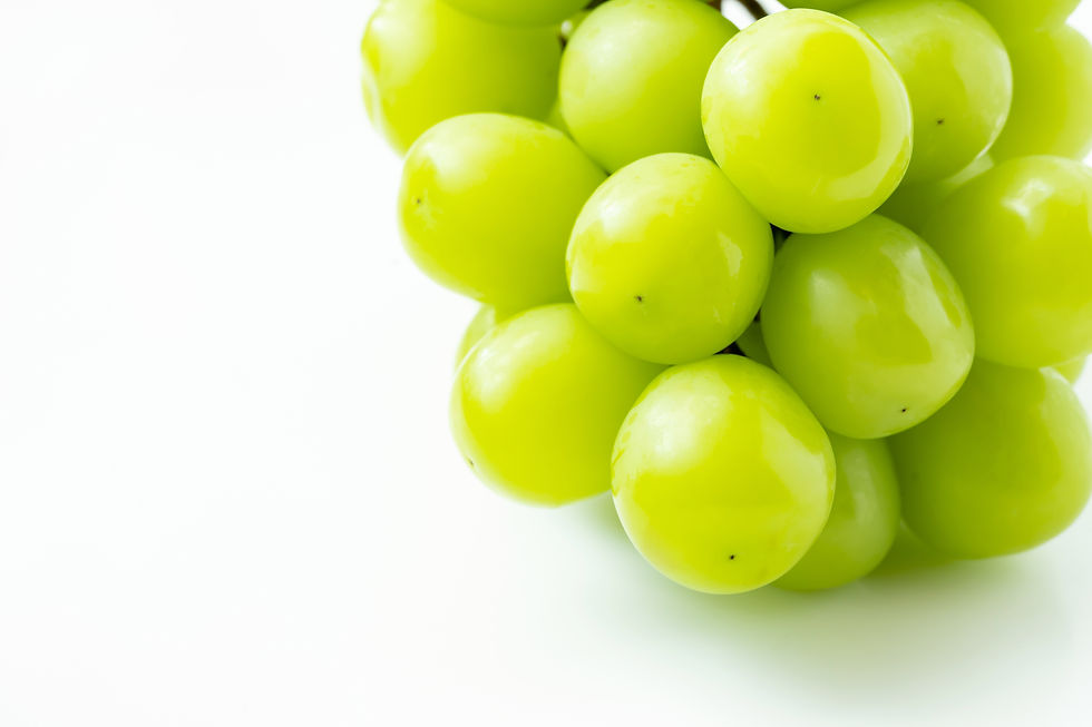 AdobeStock_536347801.jpeg