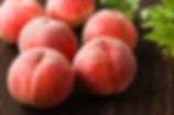 AdobeStock_68488710.jpeg