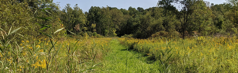 PROTETECTED LANDS HEADER.jpg